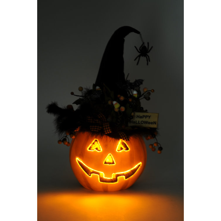 Karen Didion Lighted Fiber Optic Pumpkin & Reviews Wayfair